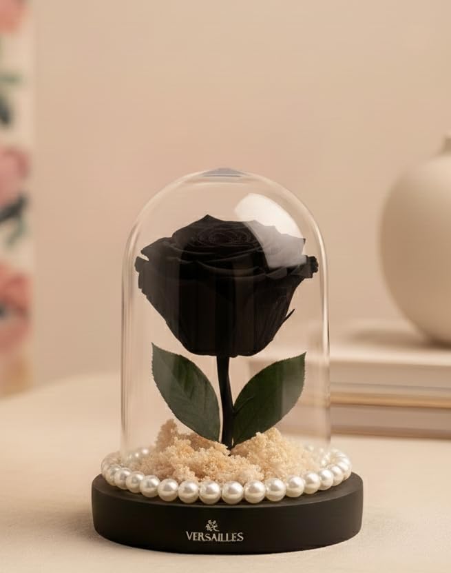 Versailles Preserved Black Rose in Glass Dome | Black Wooden Base with White Gypso & Pearls | Long Lasting Infinity Rose Gift | Anniversary, Birthday or Valentine’s Day-image-3