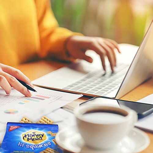 Oreo Mini, Nutter Butter Bites & Honey Maid Lil’ Squares Honey Graham Crackers Cookie Variety Pack, 40 Snack Packs #TOP3