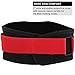 Steel Sweat Weight Lifting Belt - Nylon 6-inch Firm & Comfortable Back Support, Best for Workouts at The Gym, Weightlifting or Crossfit. Easily Adjustable Viper Medium