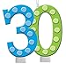 Creative Converting Bright and Bold 30th Birthday Molded Numeral Cake Candle