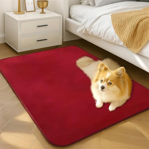 Wokuaile Tapis Poil Ras Chambre Moderne Tapis Antidérapant Grande Descente de Lit Doux Lavable pour Maison Salon Chambre Enfant Rouge Vin, 80 x 120 cm