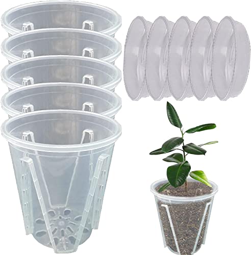 5 Stück Orchideentopf Transparent Orchideentöpfe Übertopf mit Untertassen Kunststoff Orchideentopf Pflanztöpfe für Orchideen Orchidee Blumentopf für Indoor Outdoor Balkon Schreibtisch (12cm+Tablett)