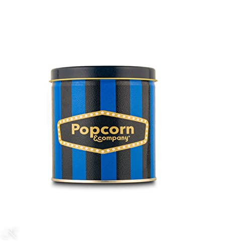 Image of Popcorn & Company Blueberry Flavored Gourmet Popcorn in Reusable Tin - Sweet & Fruity Snack, Non-GMO Mushroom Kernels | 130g | Gift Ready