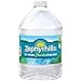 Zephyrhills 100% Natural Spring Water plastic jug with handle, 101.4 oz