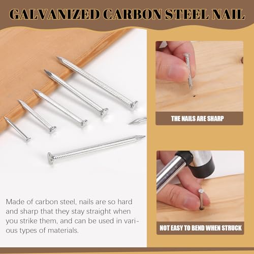 Wokape 300Pcs Stahlnägel Sortiment Kit, 20MM 30MM 40MM 50MM 60MM Weiß verzinkte Hardware Nägel Zementnägel für hängende Bilder, Wandnägel, Holznägel, Finishing Nägel, Haushalt und DIY