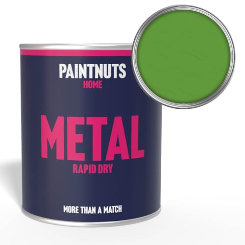 Paintnuts Light Green (RAL-6018) Rapid Dry Metal Paint, Gloss Finish 250ml
