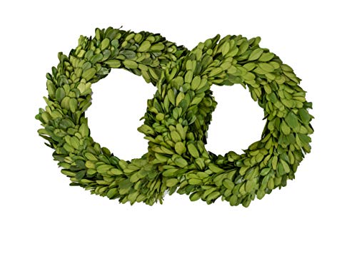 Vita Domi 7.75 Inch Preserved Boxwood Wreath Set Of 2 Green Round Wreaths #TOP6