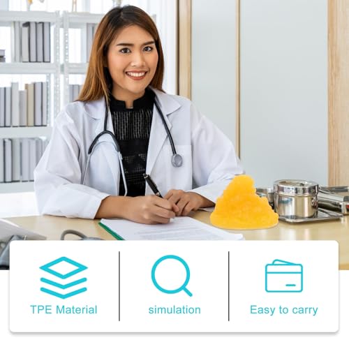 Modèle de graisse en TPE 1 lb pour démonstration de perte de poids - 7