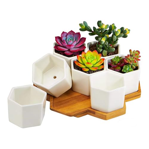 FLOWERPLUS Planter Pots Indoor, 7 Pack 2.75 Inch Modern White Ceramic Small Hex Succulent Cactus Flower Plant Pot with Bamboo Tray for Indoors Outdoor Office Home Garden Kitchen Decor (Hexagon)