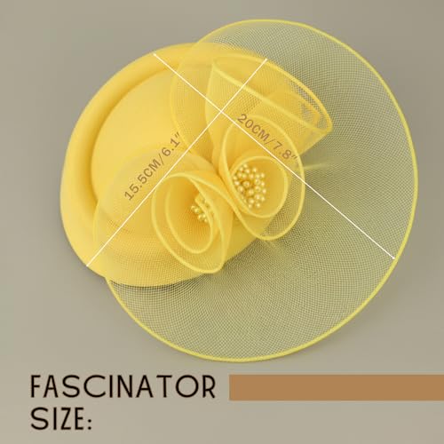 Image of DRESHOW Fascinator Hats for Women Cocktail Tea Party Hat Netted Pillbox Hat Vintage Derby Hats for Bridal Wedding