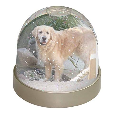 Advanta Group Golden Retriever Snow Globe Cover