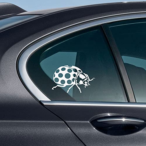 Image of WIRESTER 6 inch Clear Vinyl Decal Sticker Decoration for Car Window (Or Any Flat Surface) - Bug