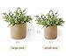 Dahey 2 Pack Wall Hanging Rope Basket with Artificial Eucalyptus, 6.5