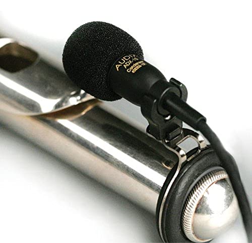 Audix Dynamic Microphone, Black, 9.00 X 4.00 X 7.00 Inches (Adx10Flp) #TOP1