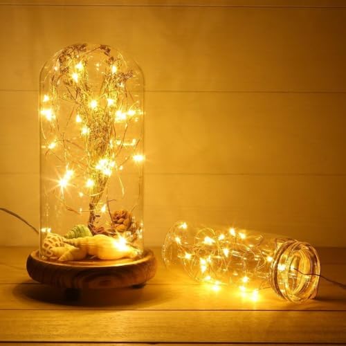 2 Nos-LED Fairy String Lights, 6.5Ft/2M 30leds Firefly String Lights Garden Home Party Wedding Festival Decorations Christmas trees Crafting Battery Operated Lights(Warm White)