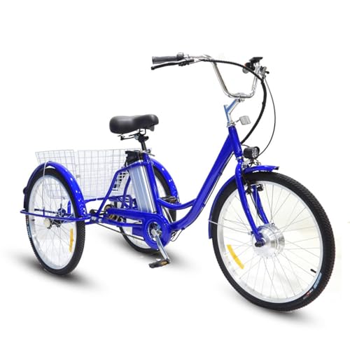 HpJfdsU Bicicletta Elettrica per Adulti a 3 Ruote (Carico 150Kg)
