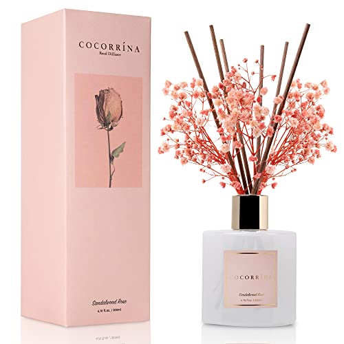 Cocorrína Premium Reed Diffuser Set with Preserved Baby's Breath &...