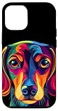 Colorful Dog Face