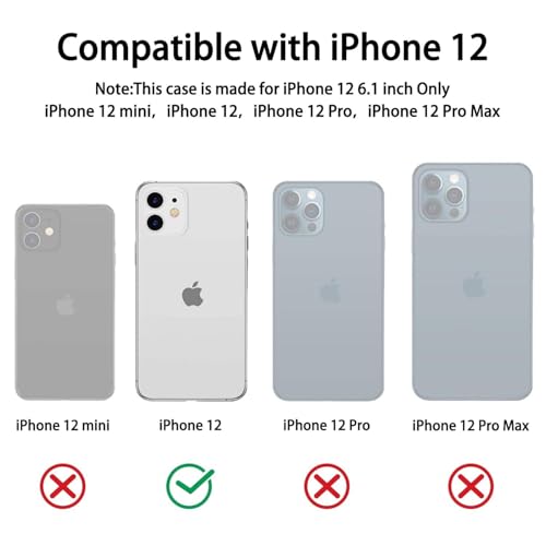 Image of Converter Case for iPhone 12 | Premium Protective Mag-Safe Cover | iPhone 17 Pro / iPhone17 Pro Max Series Style Design | in-Built Camera Guard | Wireless Charging Compatible (Black)