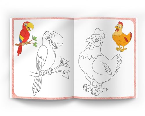 101 Crayon Coloring (101 Fun Activities)
