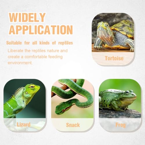 GGUFAY Haustiere Fütterung Platte Reptil Fütterung Schüssel Vivarium Lebensmittel Wasser Dish Harz Schüssel für Schildkröte Gecko Schlange Haustier Zucht Tray