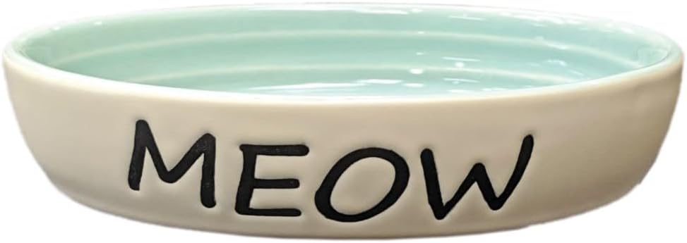 SPOTOval Green Meow Dish 6 58575