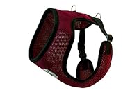 Algopix Similar Product 20 - RC Pet Products Cirque Soft Walking Dog