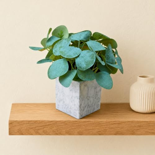 Image of fancymart Artificial Plant with Real-Touch Leaves in Pot, 25 cm, Indoor Tabletop Item for Home Decor, Office, Living Room