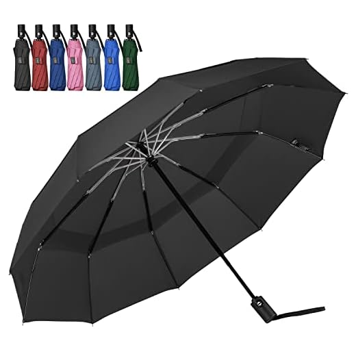 LANBRELLA Umbrella Travel Umbrella, Compact Folding Vented Double Canopy Umbrella Auto Open Close 10 rib - D1 Black