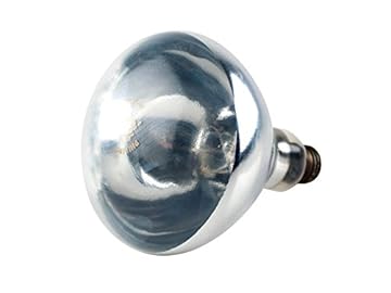 best heat lamp bulb for bathroom