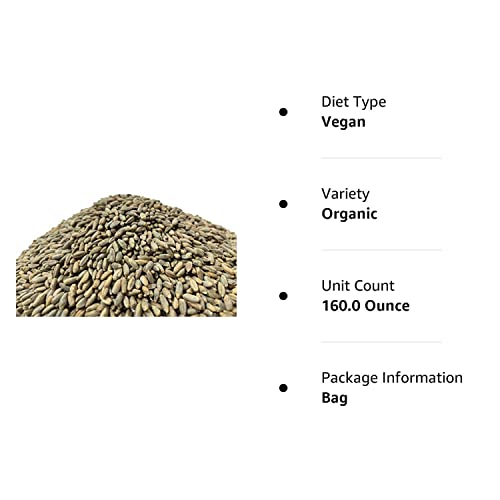 Executive Deals All Natural Rye Berries, Non-Gmo & Usda Certified - 10 Pounds (Double-Sealed) #TOP5