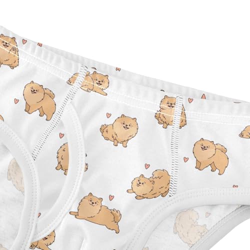 Cotton Little Boys Briefs Soft Brown Pomeranian Dog Toddler Underwear4