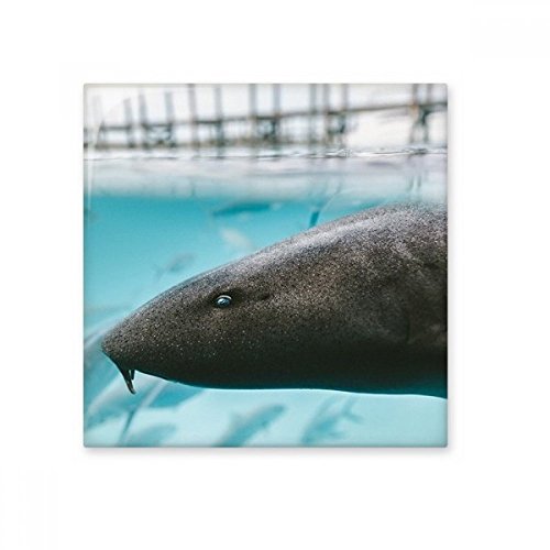 Cadeau small original carrelage requin océan brillant pour mur - 2