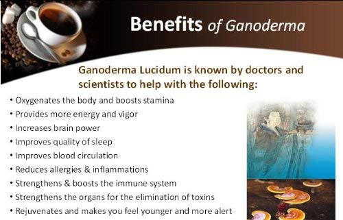 2 Packs Dxn Lingzhi 3 In 1 Coffee Ganoderma 20 Sachets #TOP3