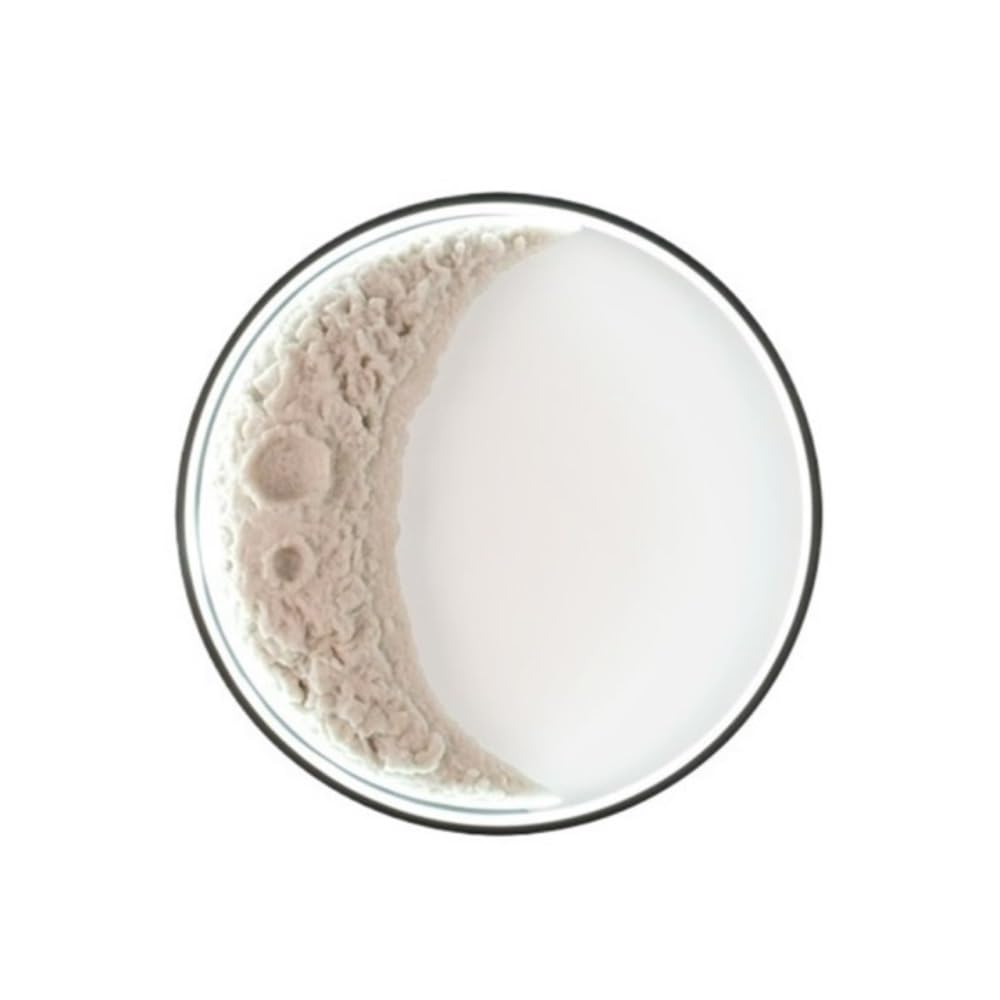 birene Wall Lamp Three-Dimensional Relief Moon Wall Lamp Three-Color Light-Changing Decorative Lighting Fixture