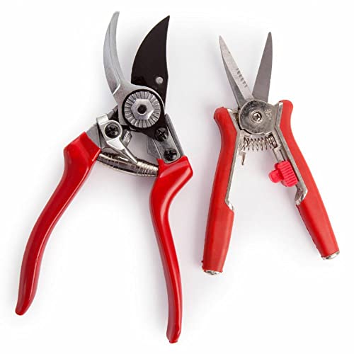 Spear & Jackson CUTTINGSET6 Sekator obejściowy i nożyce do kwiatów w zestawie (podwójny zestaw)