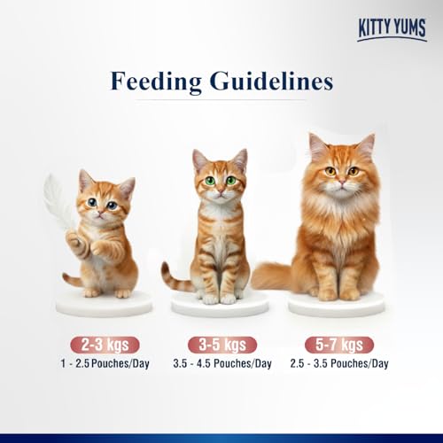 Image of Kitty Yums Adult Cat Wet Mousse 80g (4+1) Pack of 5, 400g | Salmon Flavour | Rich in Protein, Hydrating & Easy to Digest | Grain Free, No Artificial Flavours | with Essential Vitamins & Antioxidants