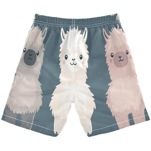 Boys Beach Board Shorts Cute Alpaca Sheep Cartoon Swim Trunk Teen Swimwear 8-16Y Multicolor2