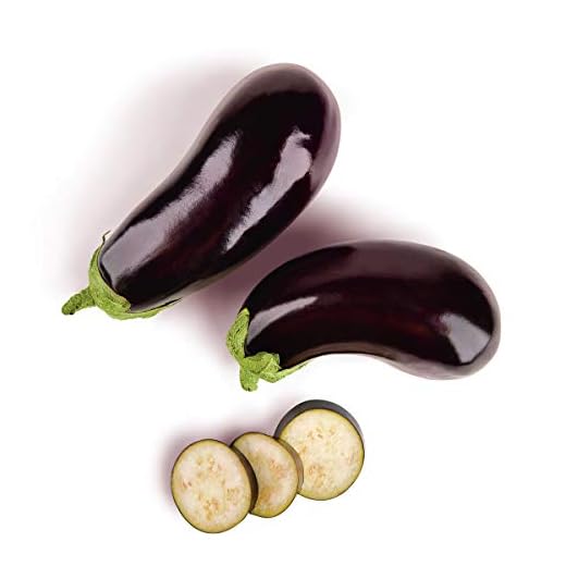 La Plaza de DIA Berenjena unidad (400 gr aprox.)