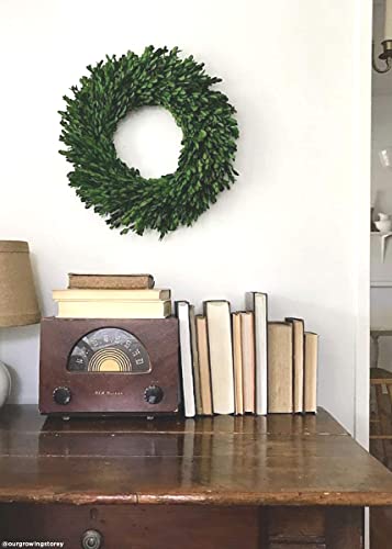 17 Inch Real Boxwood Wreath- Preserved #TOP7