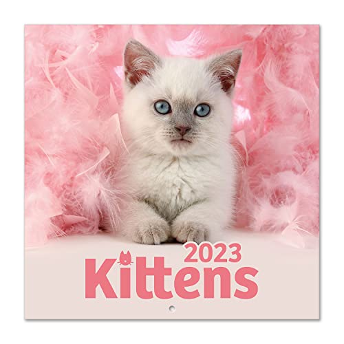 Grupo Erik Cats Simon K. and Greg C. Wall Calendar 2023 FSC 12 Month Planner Square, Wall Family Planner