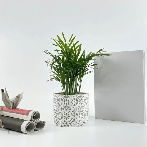 Jardinière avec trou de drainage et motif relief blanc sur fond vert pour plantes de balcon