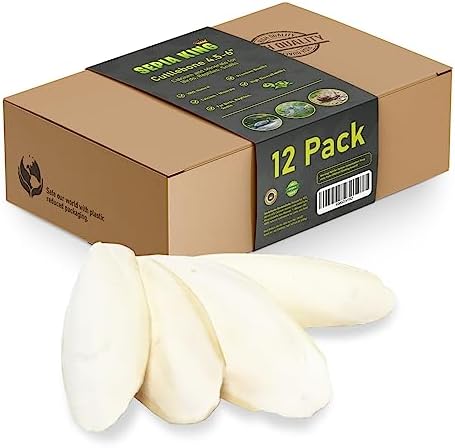 Sepia King - Premium Cuttlebone for Birds, Tortoises, Snails, Reptiles - 100% Natural Calcium Supplement, Food and Toys for Parakeets, Turtles - 12 Pack