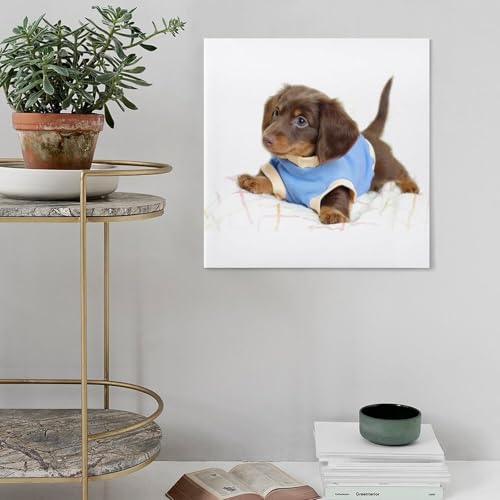 Poster teckel sur toile pour salon et chambre déco 50x50 cm