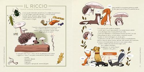 Conoscere E Proteggere La Piccola Fauna Urbana. Uccelli, Scoiattoli, Ricci, Api... - 9