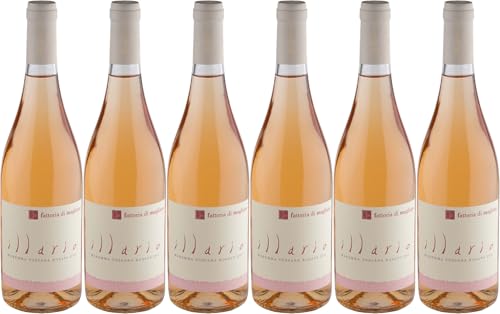 Fattoria di Magliano Illario Maremma Toscana DOC 2024 Trocken Bio (6 x 0.75 l)