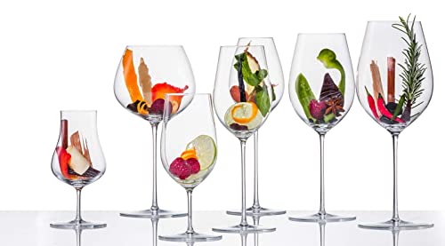 Verres à champagne Eisch Unity Sensis plus avec point de mousse 400ml - 6