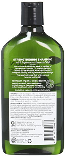 Avalon Organics Strengthening Shampoo - Peppermint - 11 Oz - 2 Pk image 5