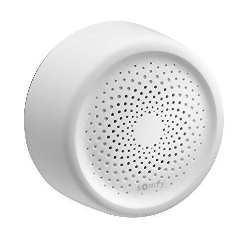 Preisvergleich Produktbild Somfy 2401453 - Mobile Innensirene zur Abschreckung potenzieller Einbrüche, Tahoma kompatibel, Lautstärke von bis zu 95 dB, weiß / grau