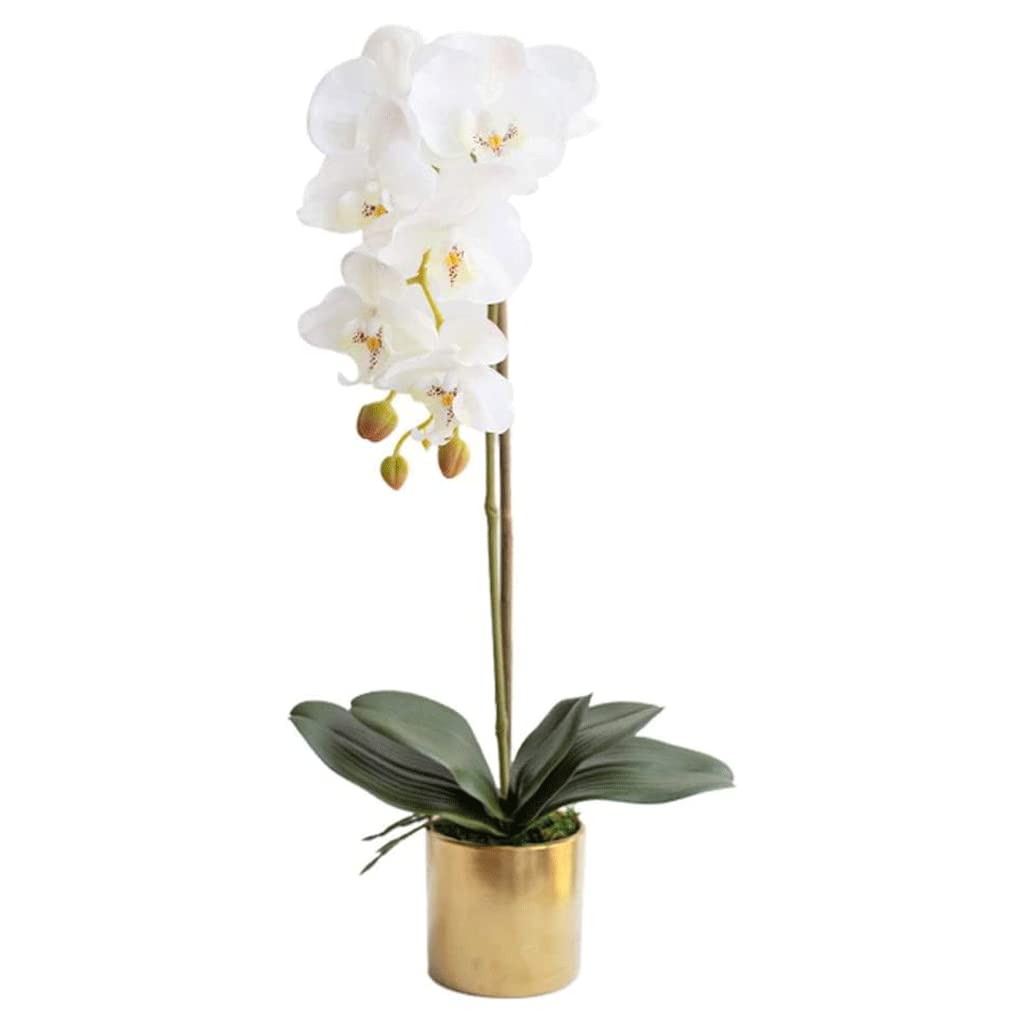 XDLEDMKIZ Orchid Artificial Flowers Artificial Phalaenopsis Flowers Orchids Artificial Flowers Party Wedding Christmas Decoration Artificial Flowers natural look